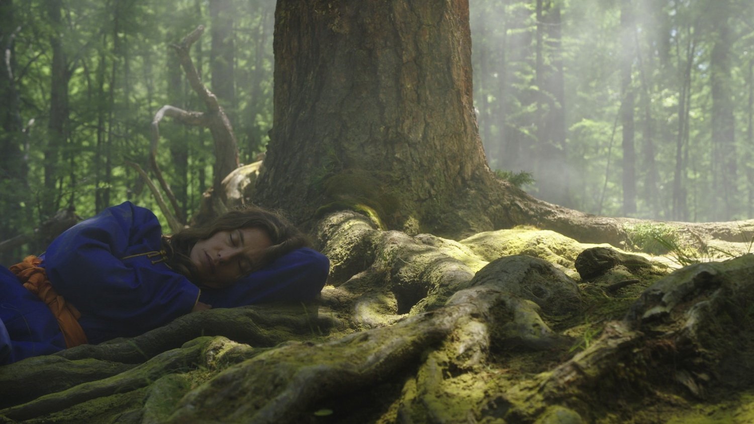 Henry Cavill Just Admitted The Witcher’s Book Changes Are a Bigger Problem Than Anyone Realized