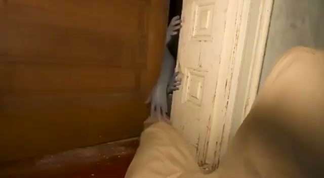 Paranormal Investigations Hunts Where Ghost Hunters Won't — still 2