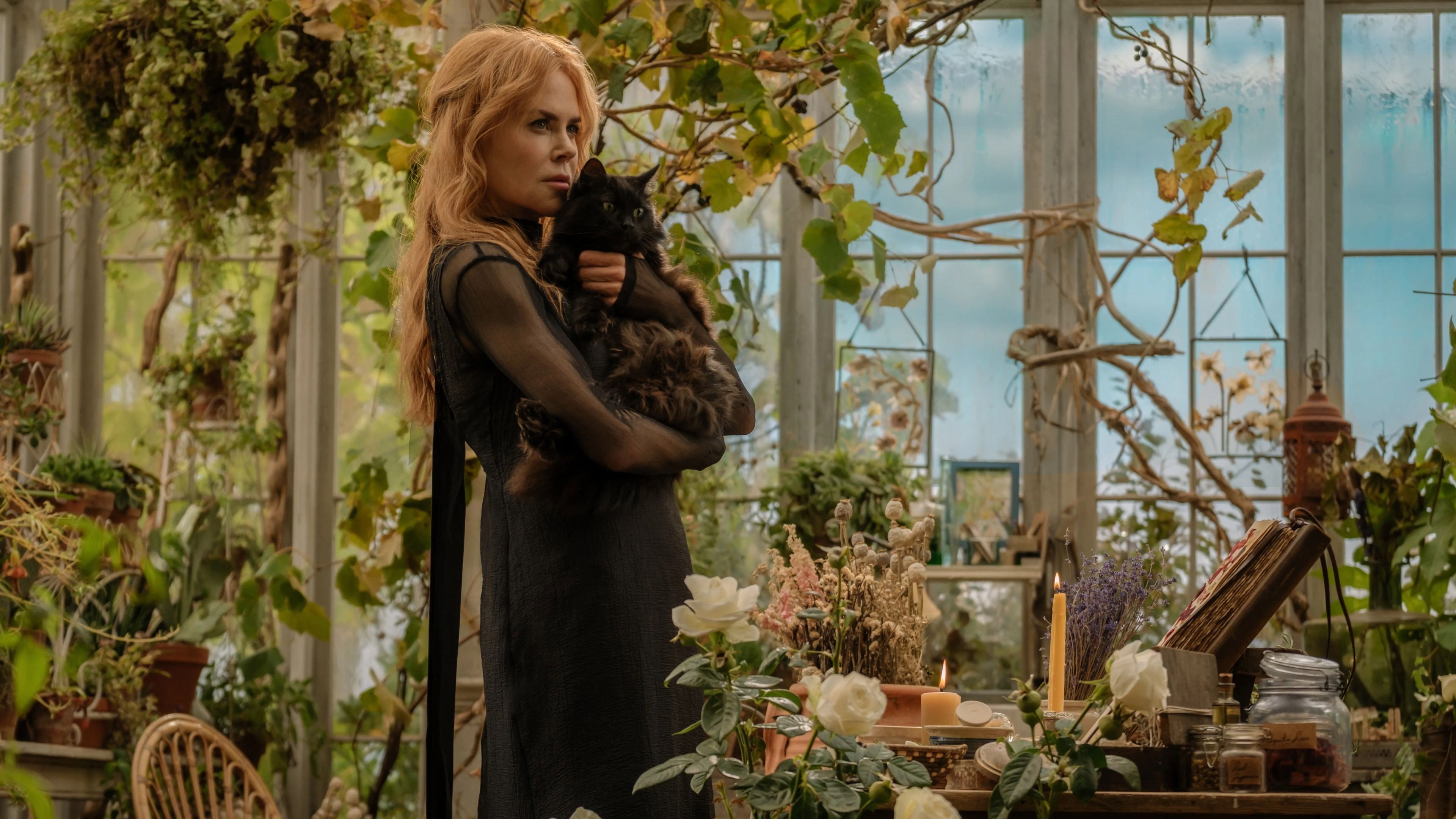 PRACTICAL MAGIC 2'S CURSE HAS TEETH NOW