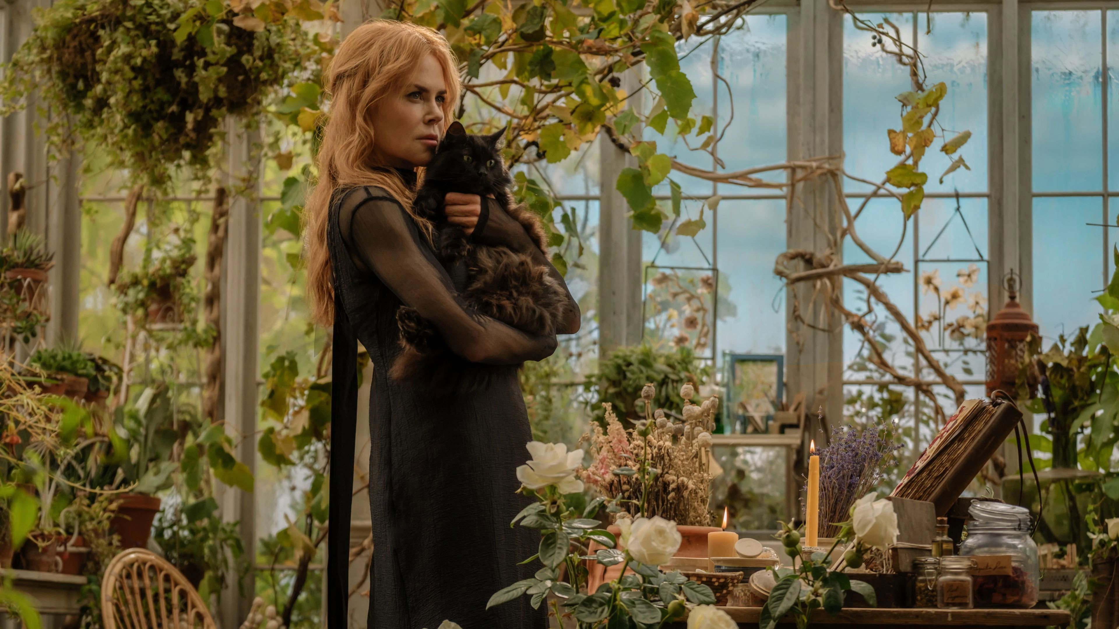 PRACTICAL MAGIC 2 GETS BLOODY AND PRACTICAL THIS FALL