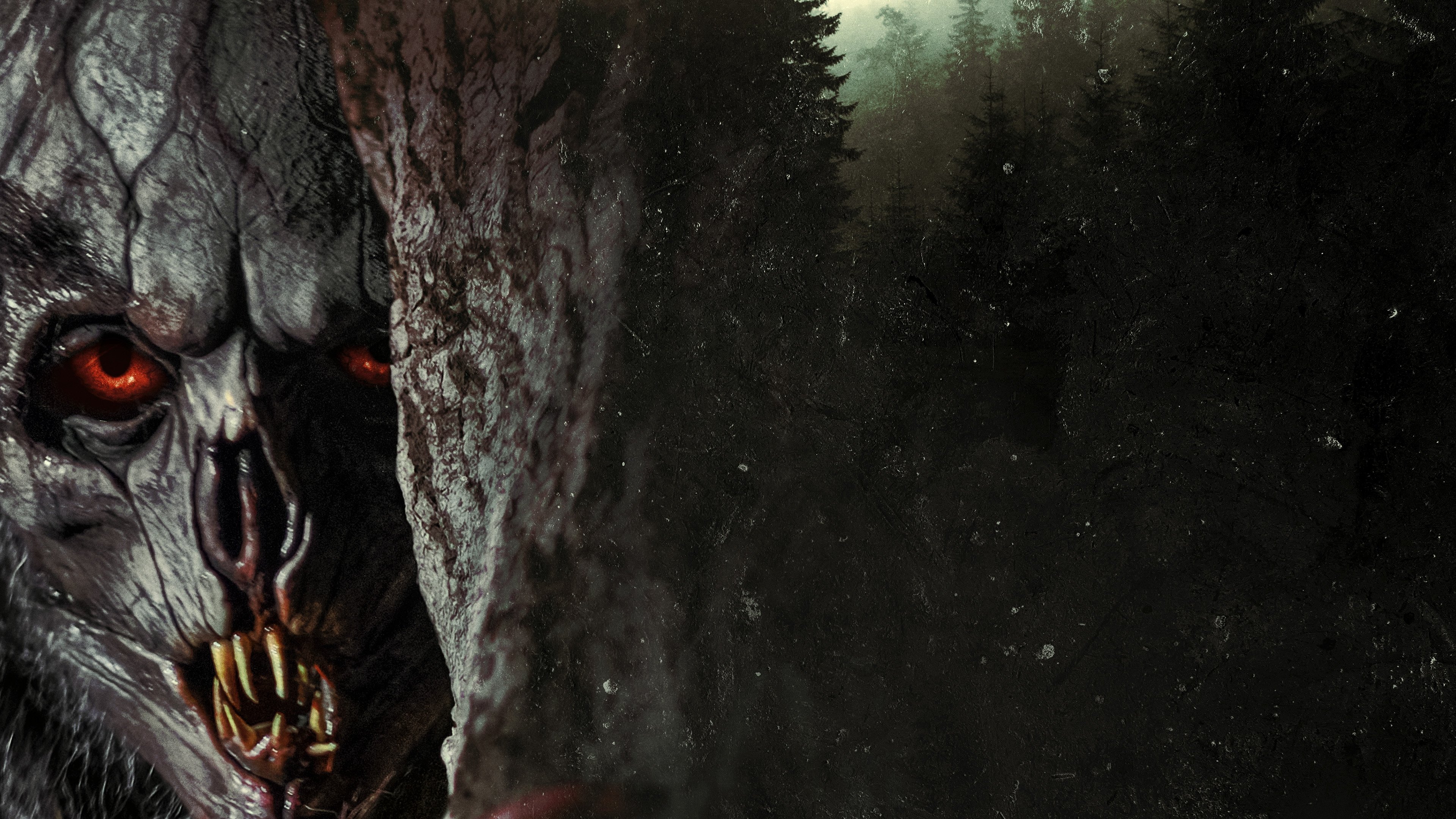 The Ossuaries of Fear: A Global Excavation of Horror’s Most Hallowed Museums