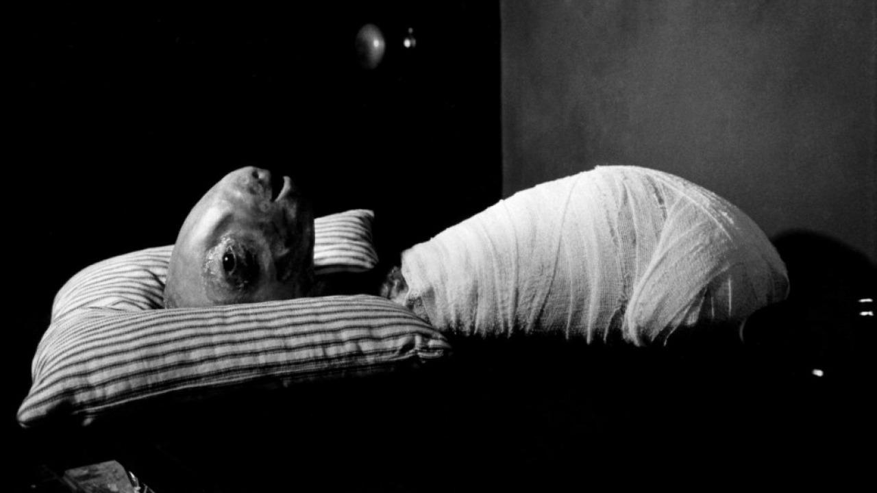 New Eraserhead Theory: Is the Film a Biological Metaphor?