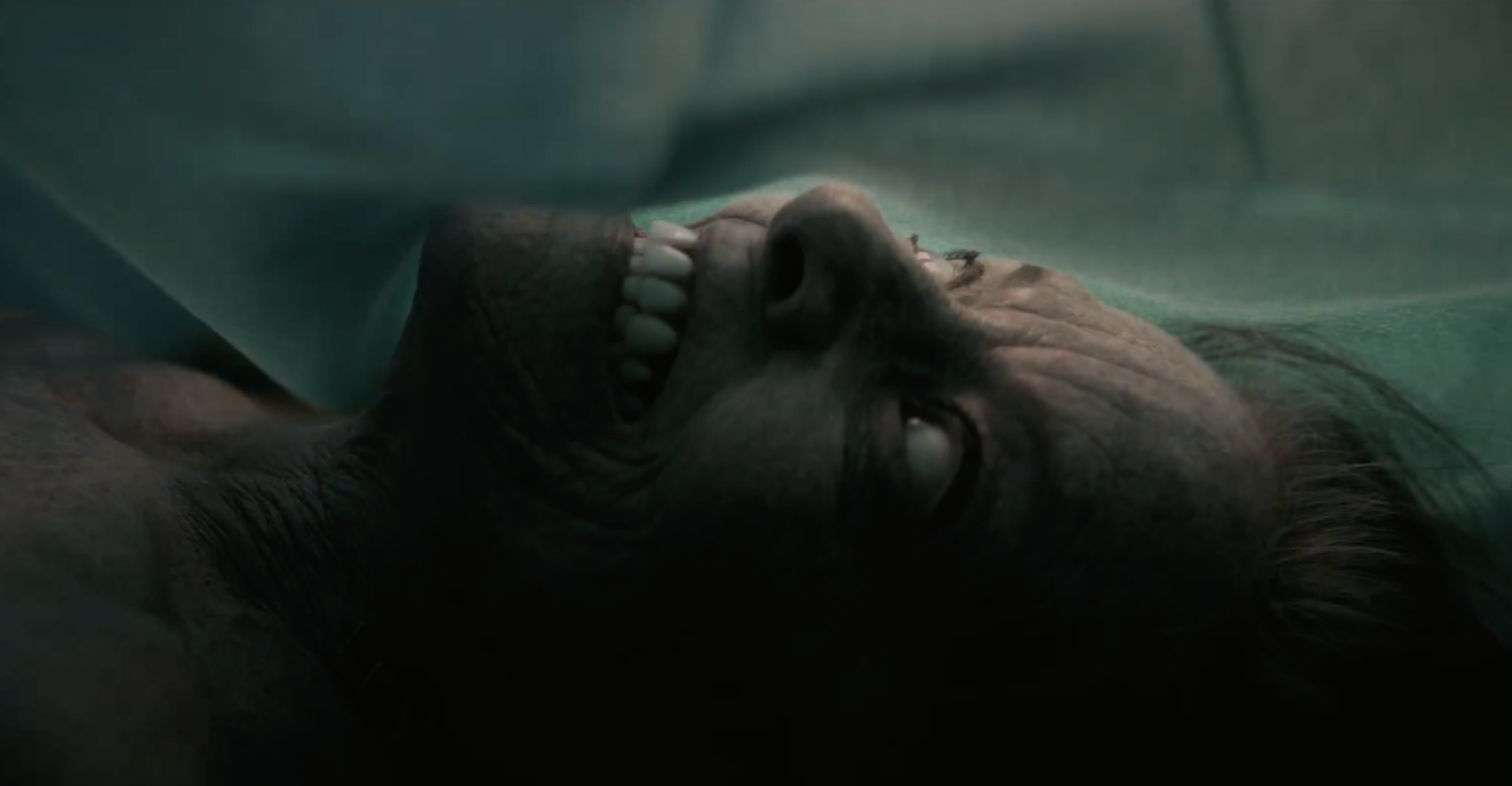 The Mortuary Assistant Movie Trailer Promises a Hellish Valentine’s